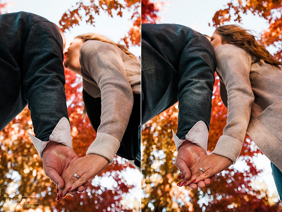 Engagement Photographs captured in Forest Park. St. Louis, MO 